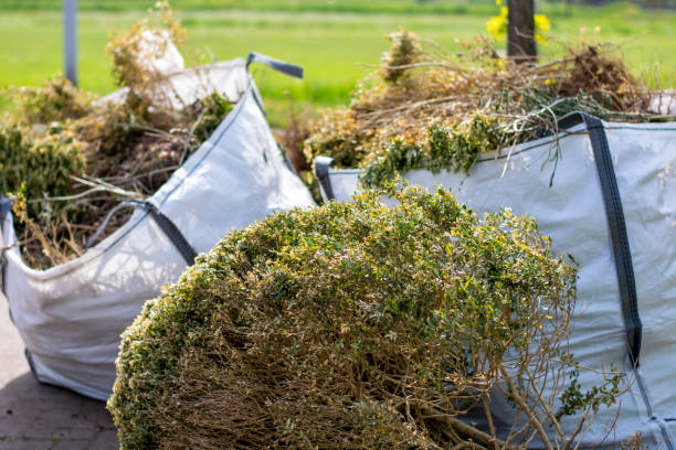 Best Junk Removal Near Me  in Jeanerette, LA